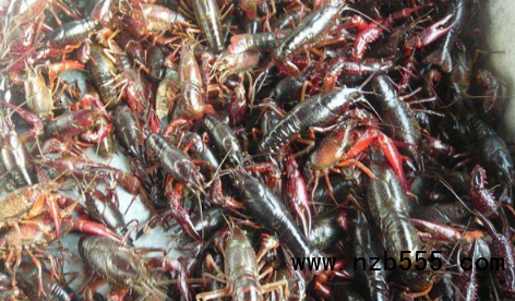 微信截圖_20210513175428