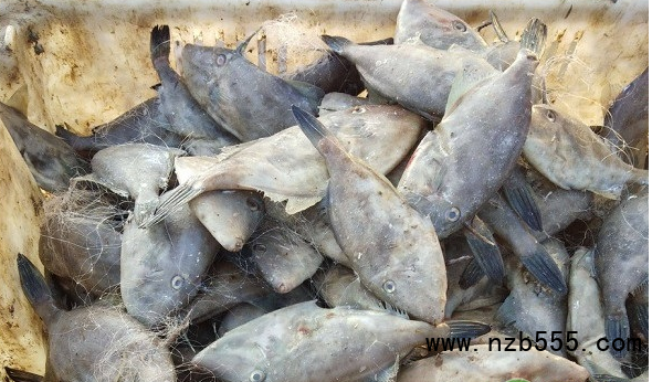 微信截圖_20210623134104