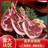益民 羔羊半排冷凍產品成都發貨餐飲食用量大從優批量售賣
