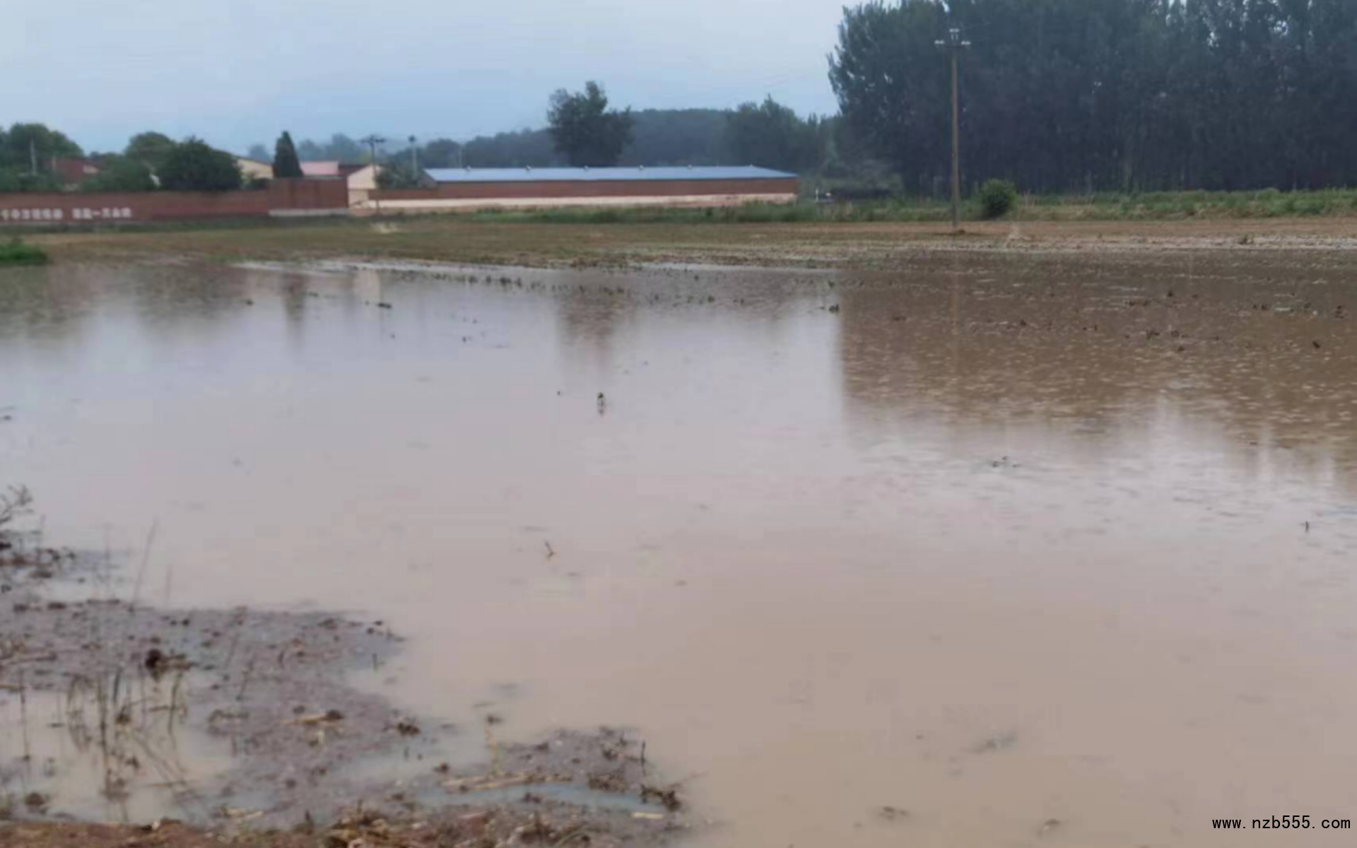 密云河南寨大豆種植地塊積水嚴重。北京市農業技術推廣站供圖