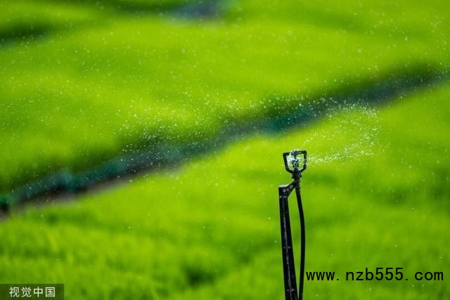 2023年5月27日，江蘇昆山，錦溪錦辰農機專業合作社，智慧噴淋系統在旱地育秧田里進行補水。人民視覺 資料圖