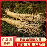 廠家批發東北特產長白山人參量大從優新鮮鮮參多規格泡酒煲湯人參