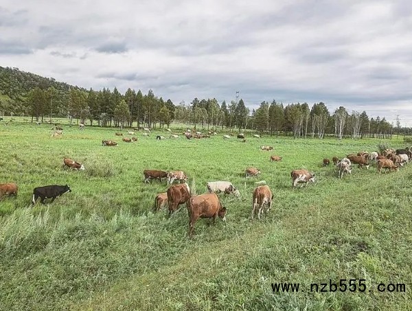 微信截圖_20241230170915