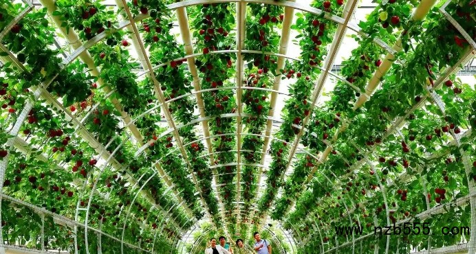 微信截圖_20250421165010