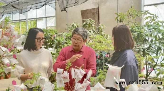 微信截圖_20250522112942