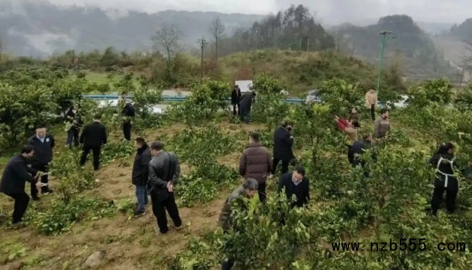 微信截圖_20250526140006