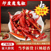 印度椒印度魔鬼椒辣椒王椒1斤/袋可免費磨粉切斷量大價優批發包郵