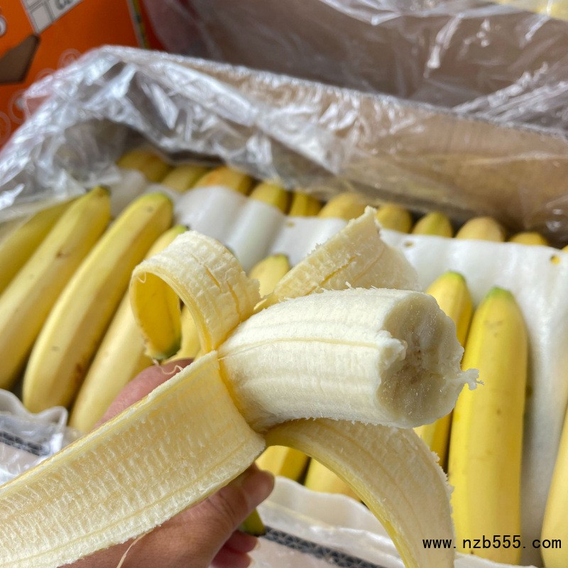 O1CN01XWIyux1OrDNuHUfIc_!!2217609131758-0-cib