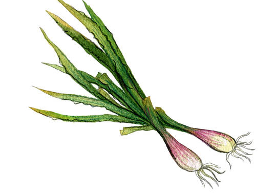 ScreenShot_2025-12-26_171002_211