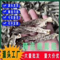 鹿茸菇鹿茸菌秋木脆脆菇瓶摘食用菌酒店專供食材散裝批發燉湯松茸