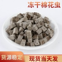 吉泰億鑫 水蚯蚓龜糧 觀賞魚飼料凍干棉花蟲 紅絲蟲小倉鼠糧零食