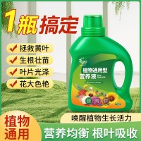 植物營養液通用型家用花肥通用化花卉盆栽綠蘿葉綠植富貴竹肥料