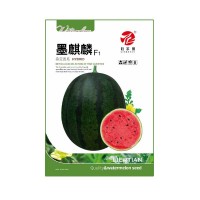 黑皮甜王西瓜種子 個大果肉沙脆蜜甜 粒爾田墨麒麟種籽 基地用種