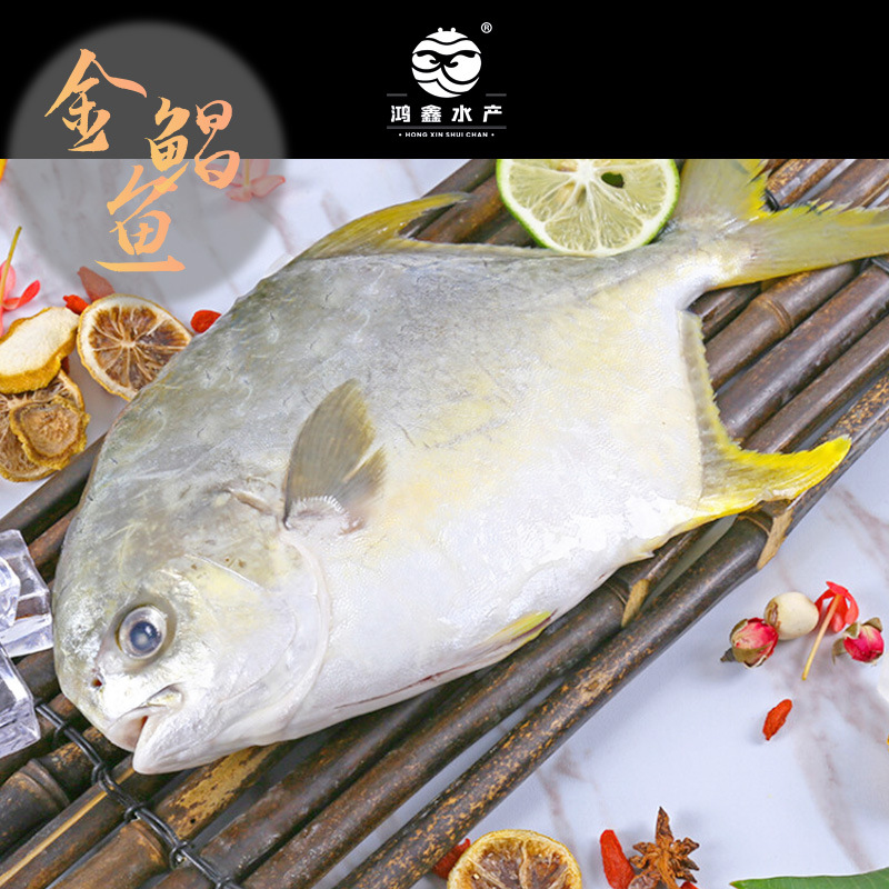 O1CN01MPCPh12Ad6gbWPUjU_!!2213235448225-0-cib