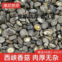 河南春栽香菇 冬菇 平腳肉厚干凈 烘干處理 源頭產地實力工廠