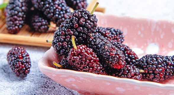 ScreenShot_2026-03-03_160915_562