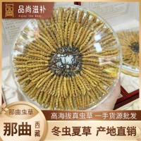 西藏那曲蟲草 高海拔頭期冬蟲夏草 曬干足干冬蟲夏草批發蟲草批發