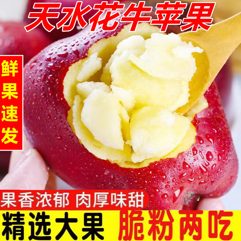 O1CN01ZeB72Y1Lxg11YwXJF_!!2813871366-0-cib