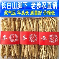 【今日特價】高齡生曬參500g人參長白山非野山參干人參泡酒中藥材