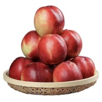 智利桃駁李水果油桃廣州發貨京東包郵應當季水果油桃一件代發