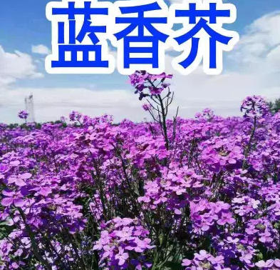 ScreenShot_2026-03-18_173216_806