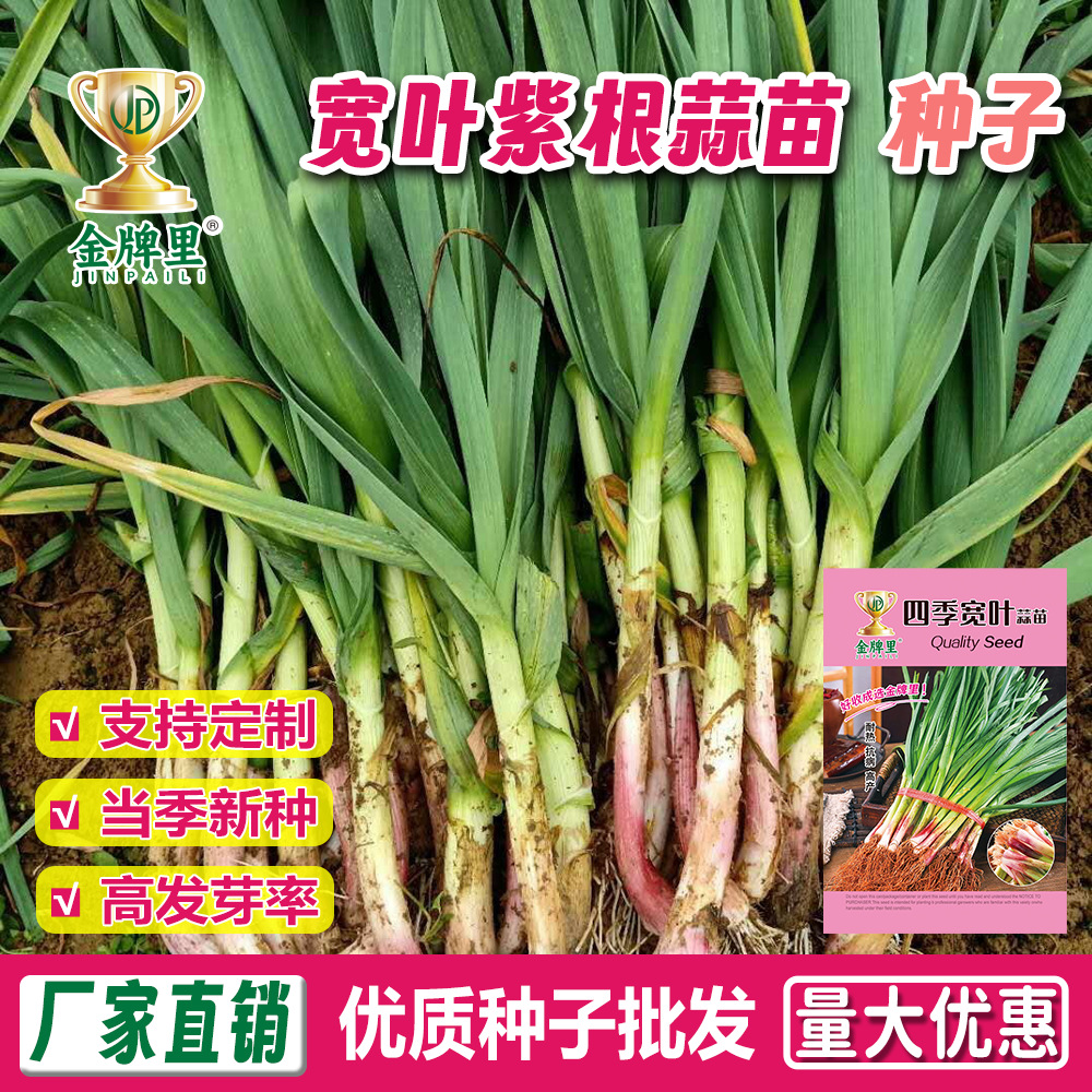 O1CN01jmBAln2FFMIcvnfFD_!!2218103488850-0-cib