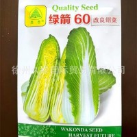 高品質特好吃日本新型改良紹菜（龍牙白菜）種子-外葉綠口感甜美