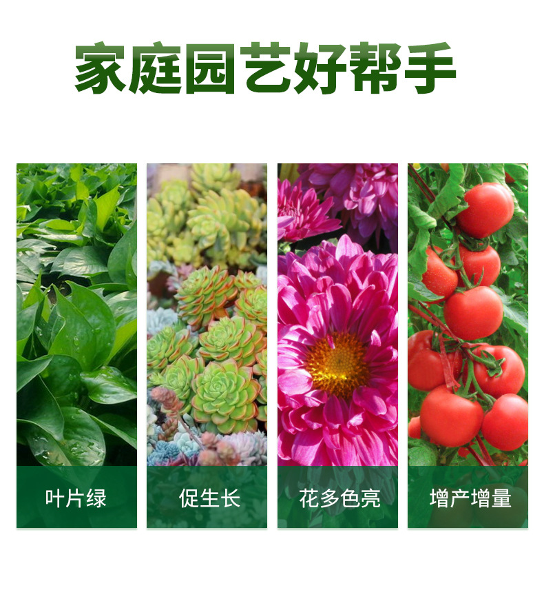 17149181590_592452460