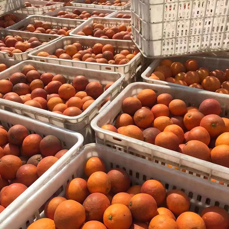 O1CN012miw2d1t4tUYCKNNy_!!2200696375849-0-cib