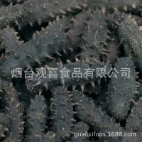 西海拉缸鹽海參頂火 大火候鹽漬海參腌漬海參批發 一手貨源