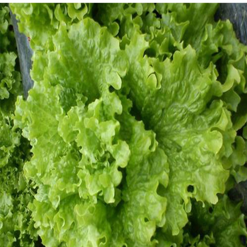 O1CN01kC2yKM1wUwiS3WnKP_!!2207622236312-0-cib