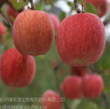 ScreenShot_2026-03-23_162403_605