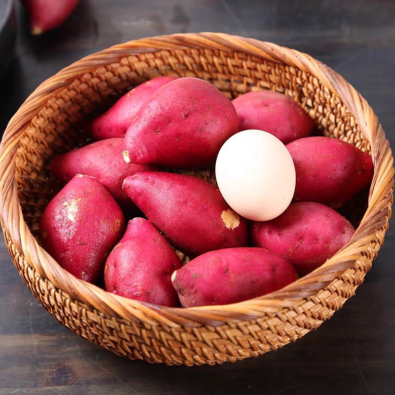 O1CN01qo6kVs1YmJFeGaTge_!!3935983101-0-cib