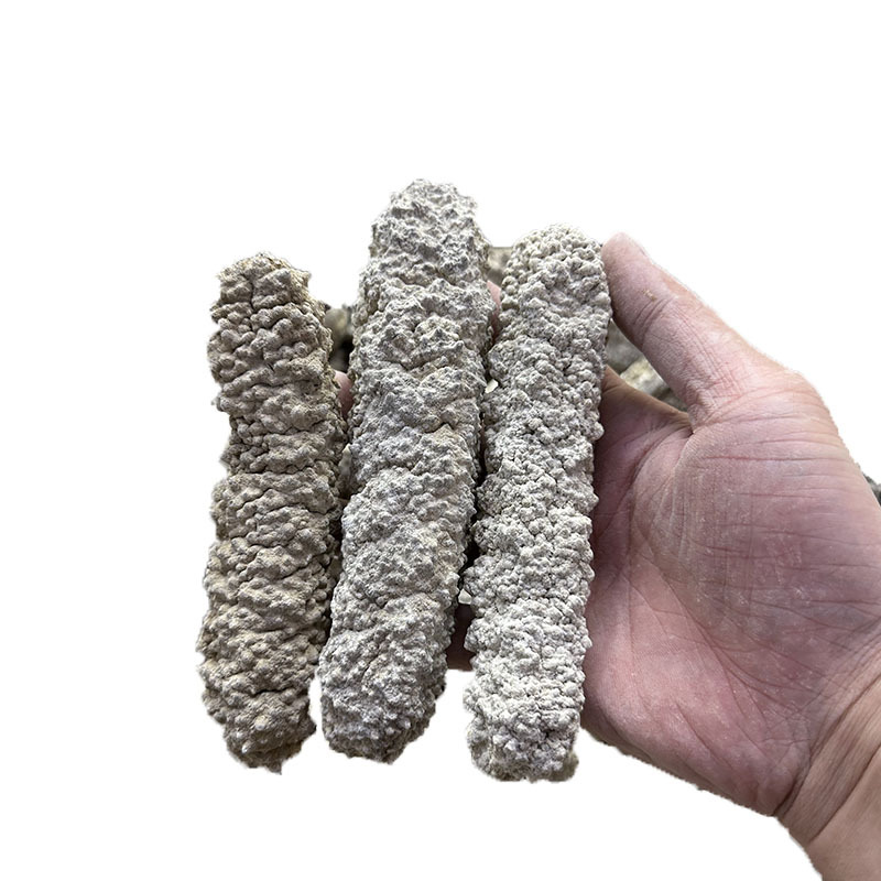 O1CN01O2Ipbc1exeVZO66gn_!!2215177883938-0-cib