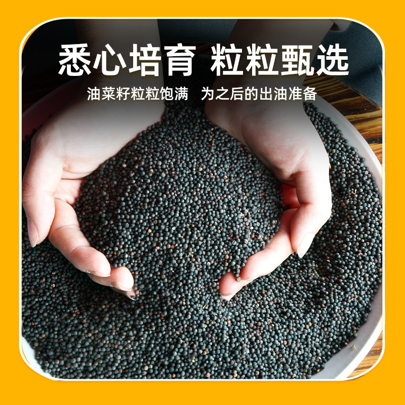 O1CN01ch3bbC1w1B1odhgaY_!!2214801956247-0-cib