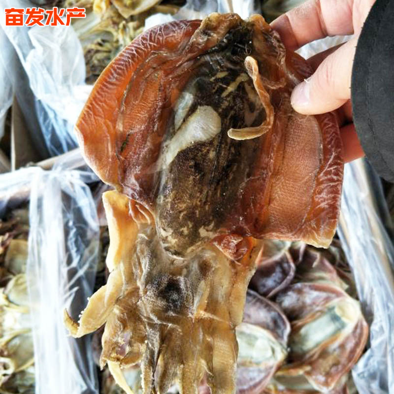 10625356662_1701077185