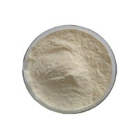 羅漢果甜苷25% 羅漢果提取物mogrosides食品添加劑羅漢果甜甙