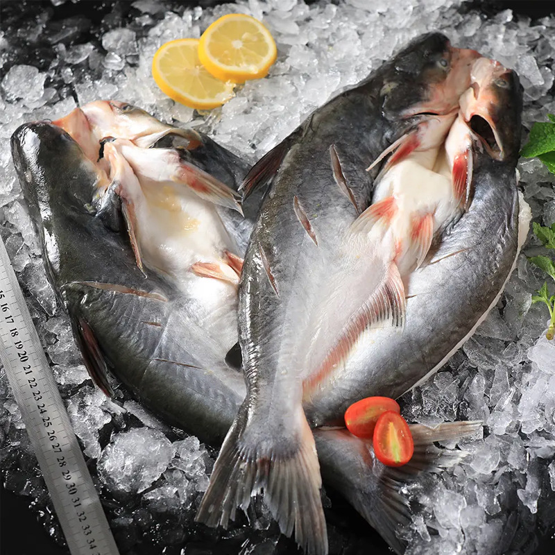 O1CN01K1zMO41PZdmqP35vf_!!2220540431855-0-cib