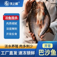 國產湄公魚腌制巴沙魚凌波魚烤魚半成品整箱批發新鮮冷凍半成品