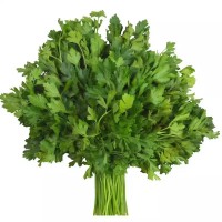 香菜種子大全農家盆栽苗大葉芫荽種籽四季食用香菜籽蔬菜種籽種孑