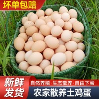 五谷蟲草走地雞蛋柴雞蛋農家林間散養新鮮土雞蛋草雞蛋月子蛋順豐