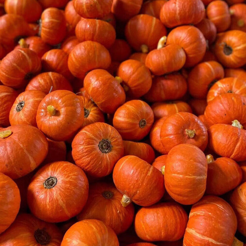 O1CN01214qfM1ONRfTqQv5u_!!2221255531693-0-cib