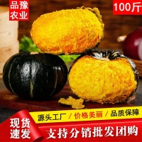 廠家批發正宗山東貝貝南瓜板栗口感粉糯香甜新鮮9斤裝 一件代發