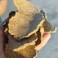 二級菜籽餅有機肥料 批發胡麻餅花生麩餅種植蔬菜水果有機肥肥用