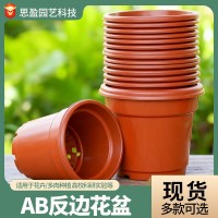 AB系列塑料花盆培育盆反邊加厚加侖育苗網底小花盆綠蘿多肉種植盆