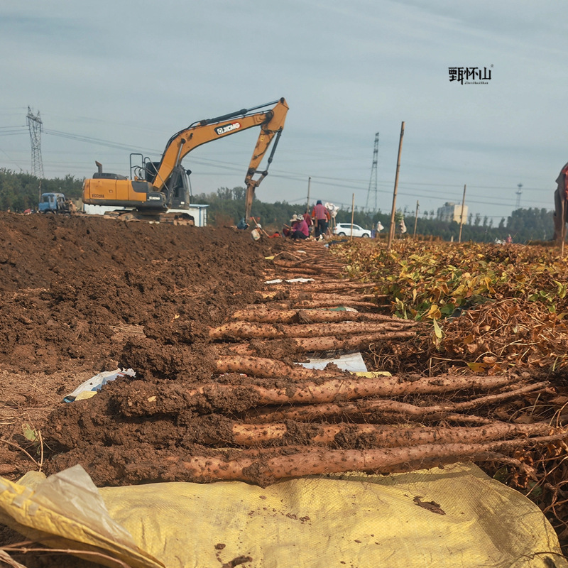 O1CN01lgktyf1v50ohrjtKX_!!1011736120-0-cib