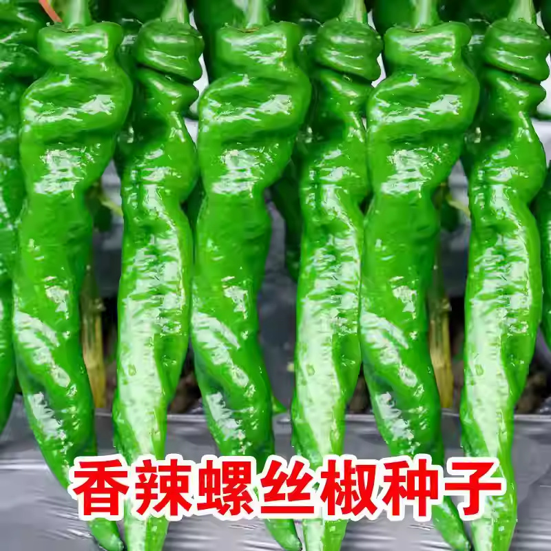 O1CN01jDtNdQ1fLTOCpiKAA_!!2220540263990-0-cib