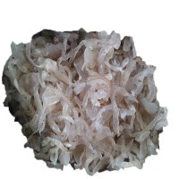 批發海蜇絲珊瑚絲涼拌菜5斤桶裝包郵非即食海蜇整桶批發海鮮