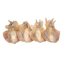 墨魚干大烏賊干貨淡干墨魚干水產干貨目魚干海鮮煲湯水產廠家供應