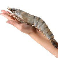 黑虎蝦超大新鮮大蝦老虎蝦鮮活虎蝦基圍蝦特大速凍海鮮斑竹九節蝦